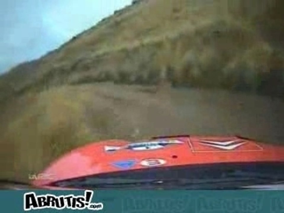 wrc_vache[1]