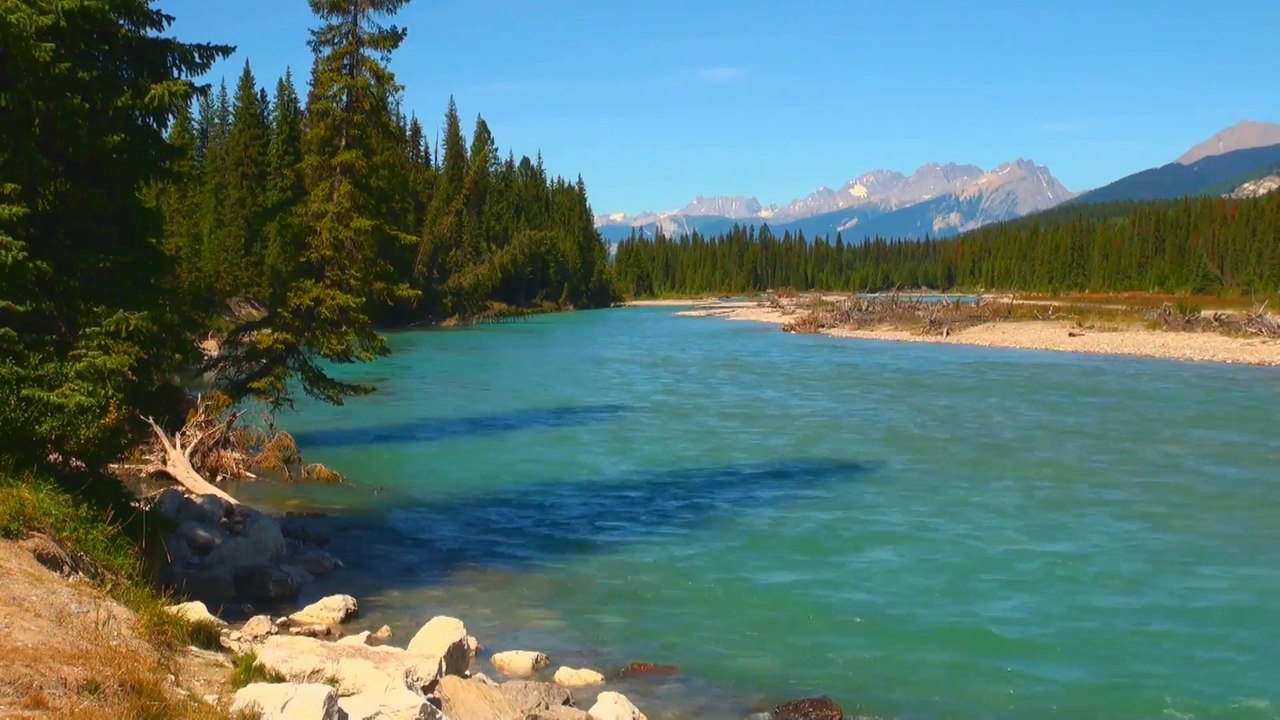 Along Kootenay River.
