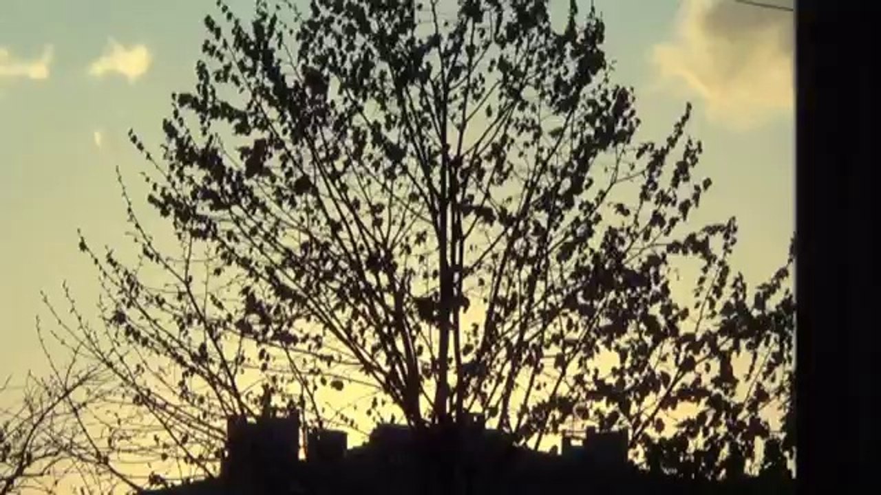 Ulaşlı Belgeseli (Teaser)