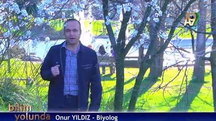Bilim Yolunda - 2 - Bitkiler Dünyası