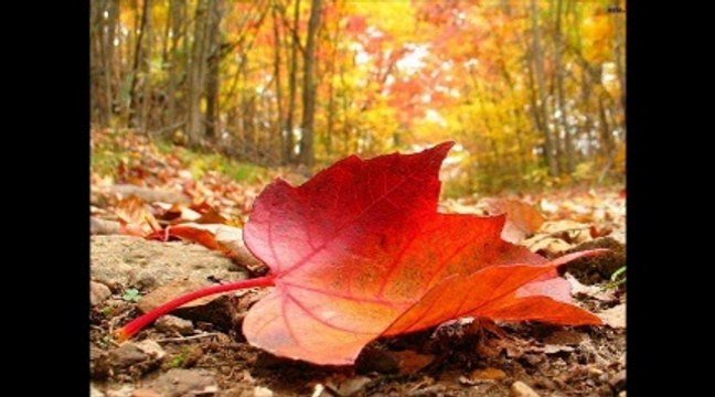 Bir Eylül Getirdi Sevgini Bana - Melihat Gülses