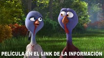 Dos pavos en apuros Película completa en Latino