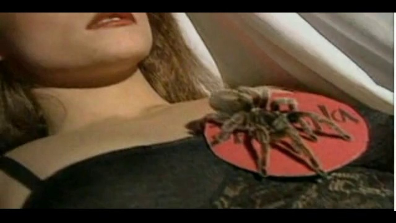 Jazeena lays down with Tarantulas in a coffin