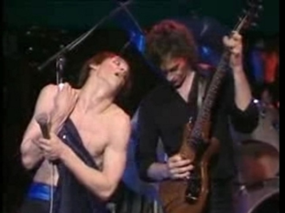 Iggy Pop - I Wanna Be Your Dog