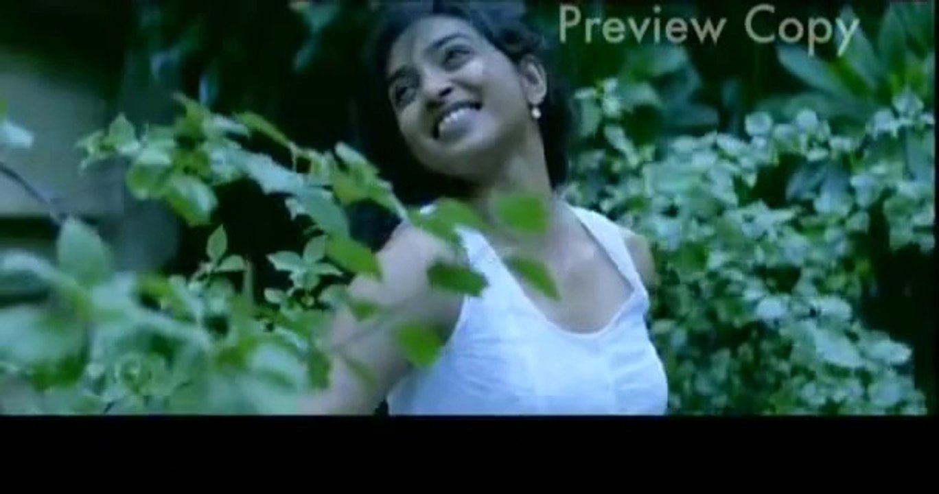 Jao Pakhi
