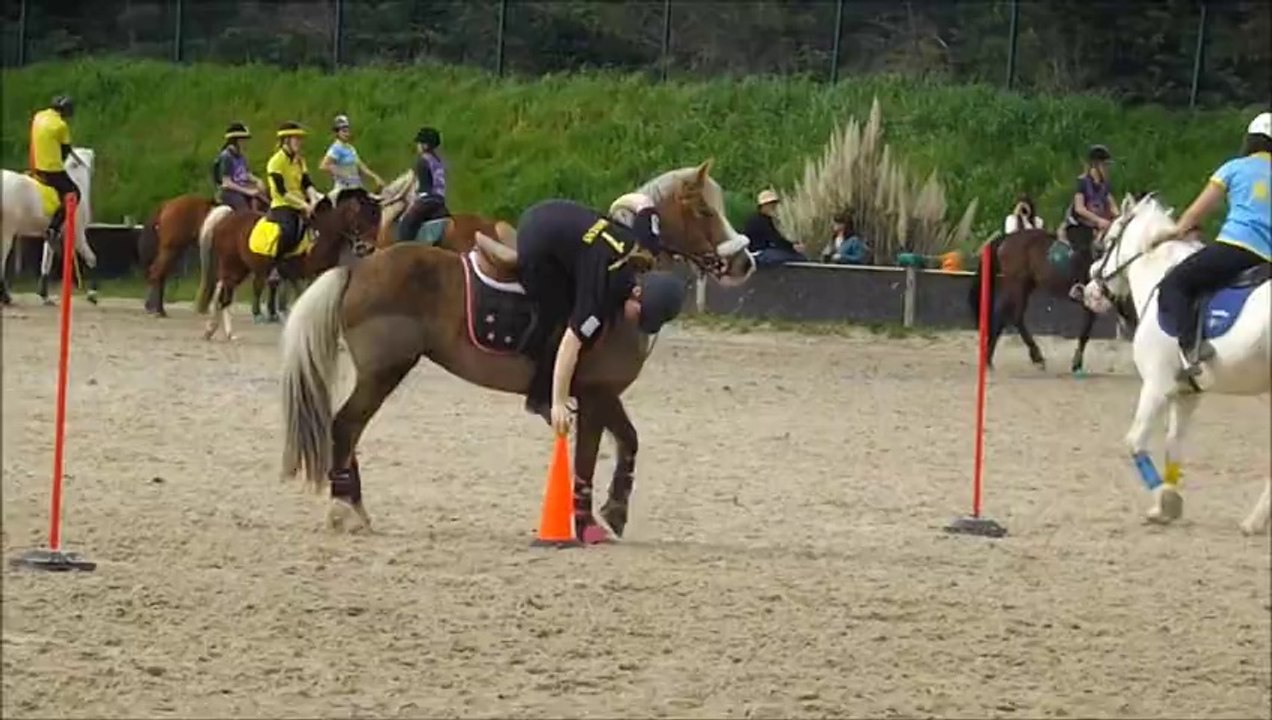 Sweet, Pony Games Istres, mars 2014