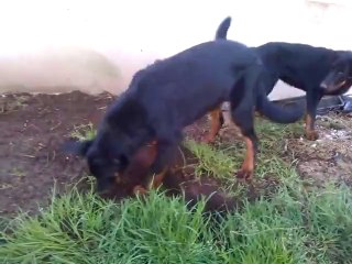 23 mars 2014, Izel creuse