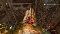 Dark Souls 2 Gameplay Walkthrough #8 | Forest of Fallen Giants Part 4 | NG  Lvl200 