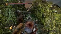 Dark Souls 2 Gameplay Walkthrough #5 | Forest of Fallen Giants Part 1 | NG  Lvl200 