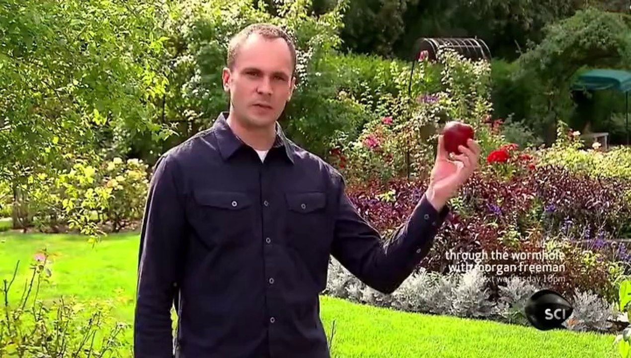 07. Are Robots the Future of Human Evolution