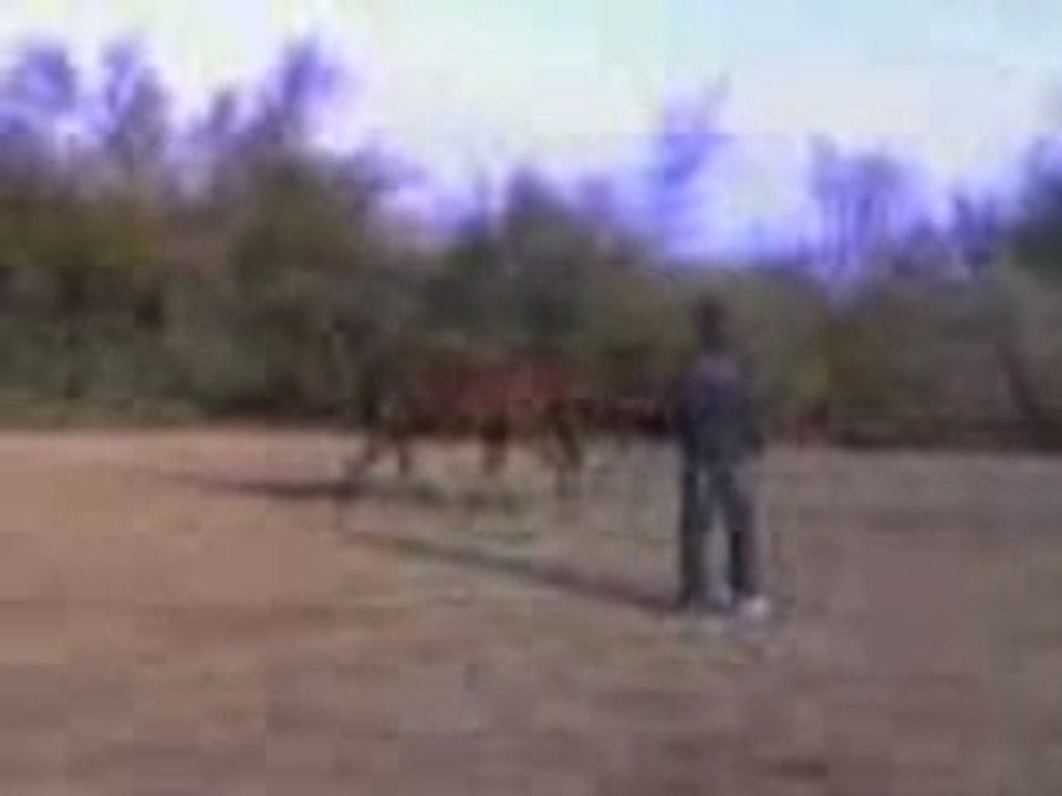 Vidéo 0006