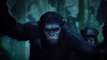 Summer Movies: Dawn Of The Planet Of The Apes
