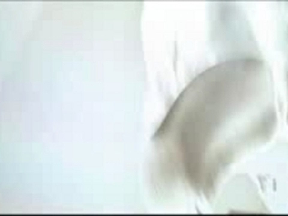Des serpents dans l'avion