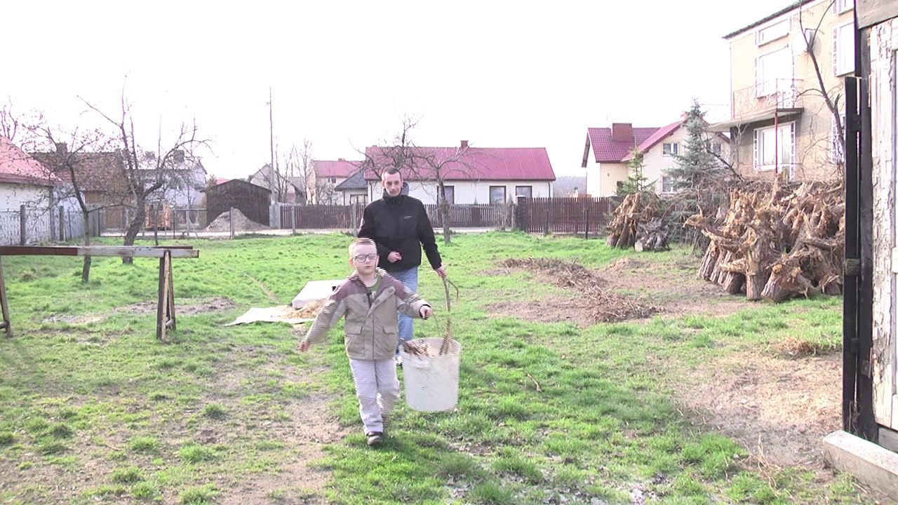 UDAR