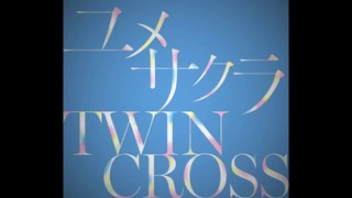 -Twin Cross: