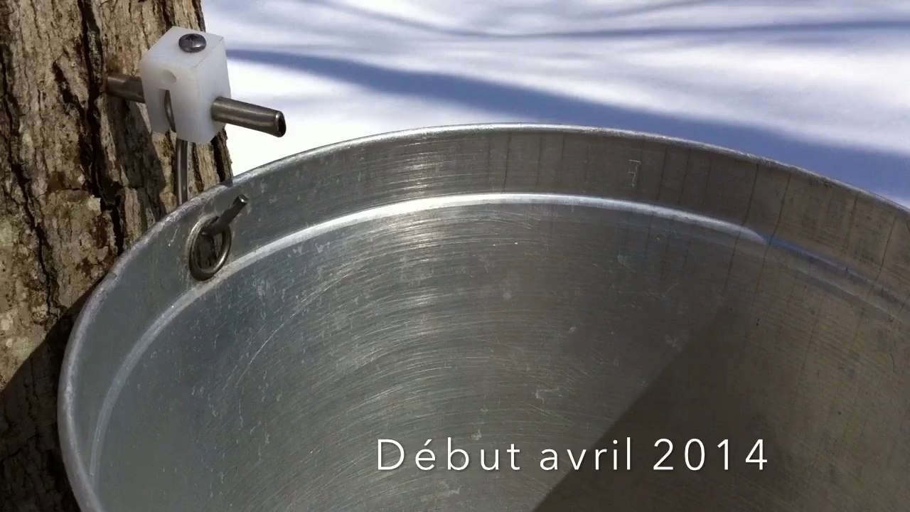 Chalumeau stainless 1/4