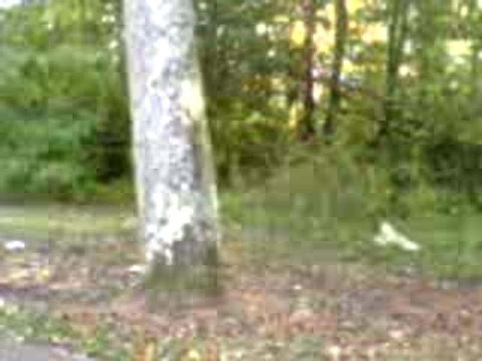 Video-0019