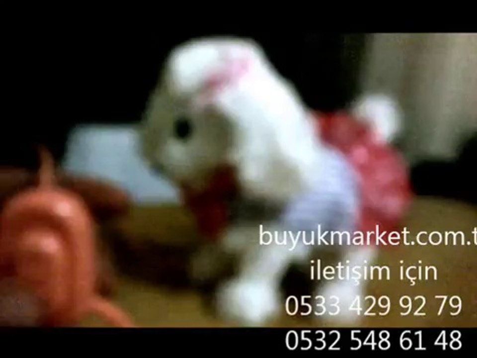 kumandal suslu kopegim - BuyukMarket