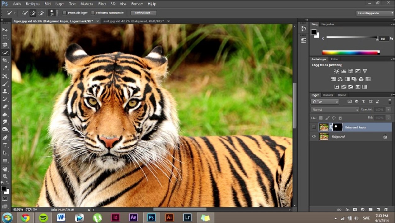 Refining Mask Edges (or) Mask Edges
