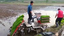Rice planting machine.