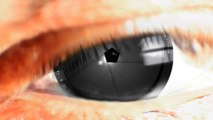 Photographers Eye Logo (Video Signature- After Effects project)