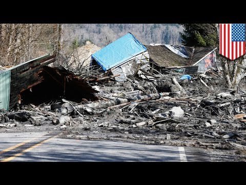 Washington mudslide: 14 confirmed dead, as many as 176 may be missing