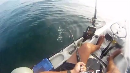 Kayaker Gets A Surprise Visit