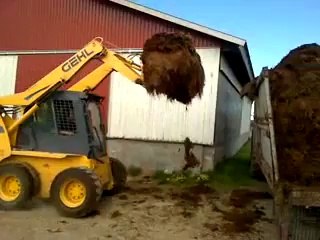 Mini Yükleyici Gehl 5640 Tutucu Çeneli Kova ile Çiftlikte Çalışma Görüntüleri