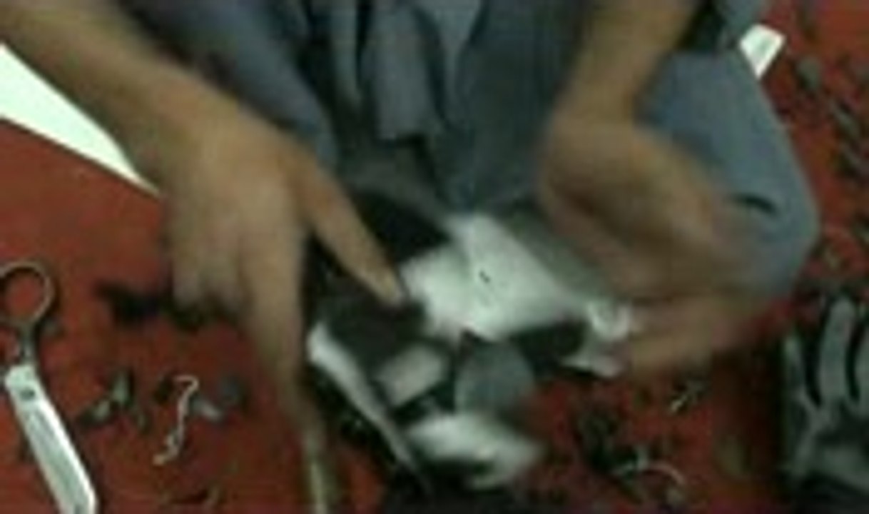 38_mpeg4