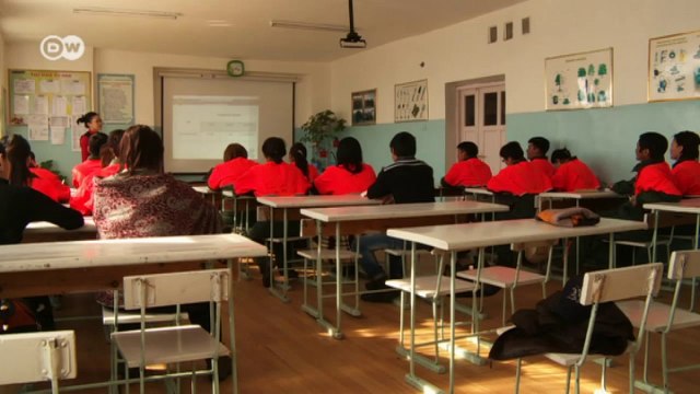 Salvar los bosques de taiga de Mongolia | versión corta |