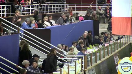 Montage AEC - CSI Saint LO 2013