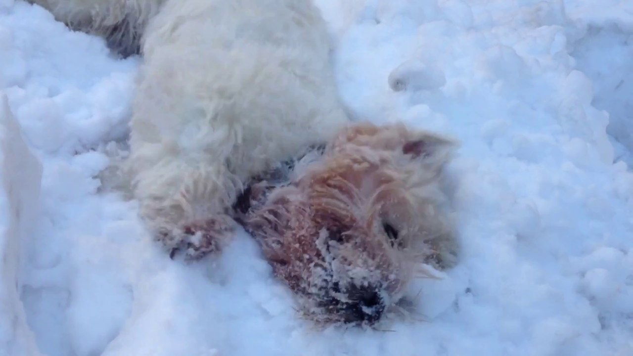 Emma's Snow Day 2013