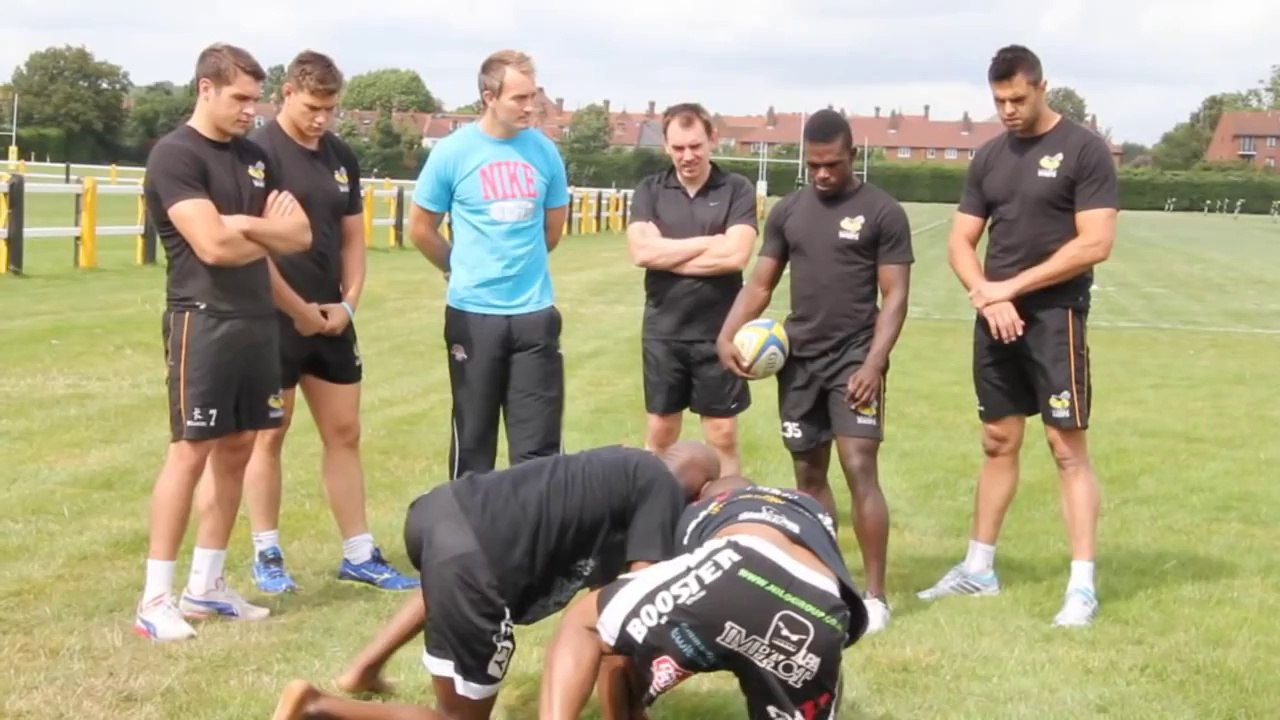 Wasps team up with BAMMA