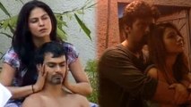 Kushal – Gauhar, Veena Malik - Ashmit Patel's Cozy Moments -  Bigg Boss Love Affairs