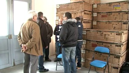 Assemblée générale de l'assemblée colombophile du Cateau