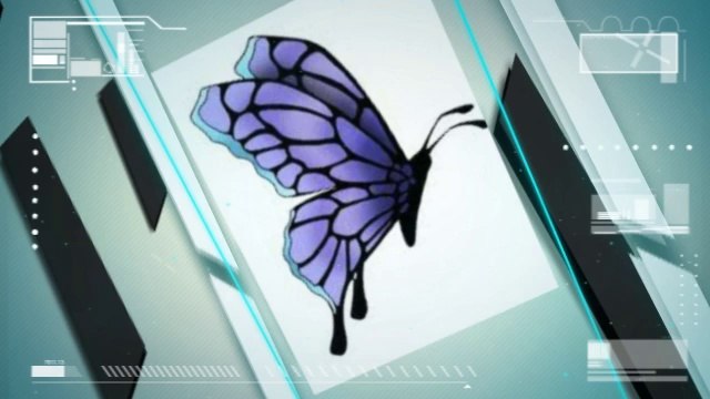 Butterfly Tattoo Designs - All You Need To Know About Butterfly Tattoo