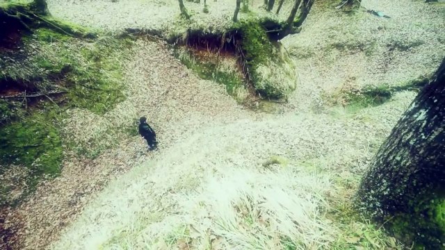 Mabel Matiz - Arafta