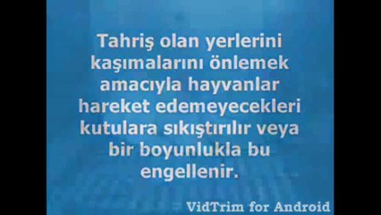 Kozmetik ürünlerde yapılan can alıcı deneyler! +16