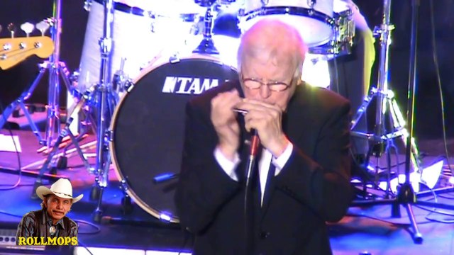 GUITAR EXPRESS & BRIAN LOCKING EX GUITARISTE DES SHADOWS 1960 DAKOTA CONCERT A RIEDISHEIM ALSACE DU 29 MARS 2014 ROLLMOPS