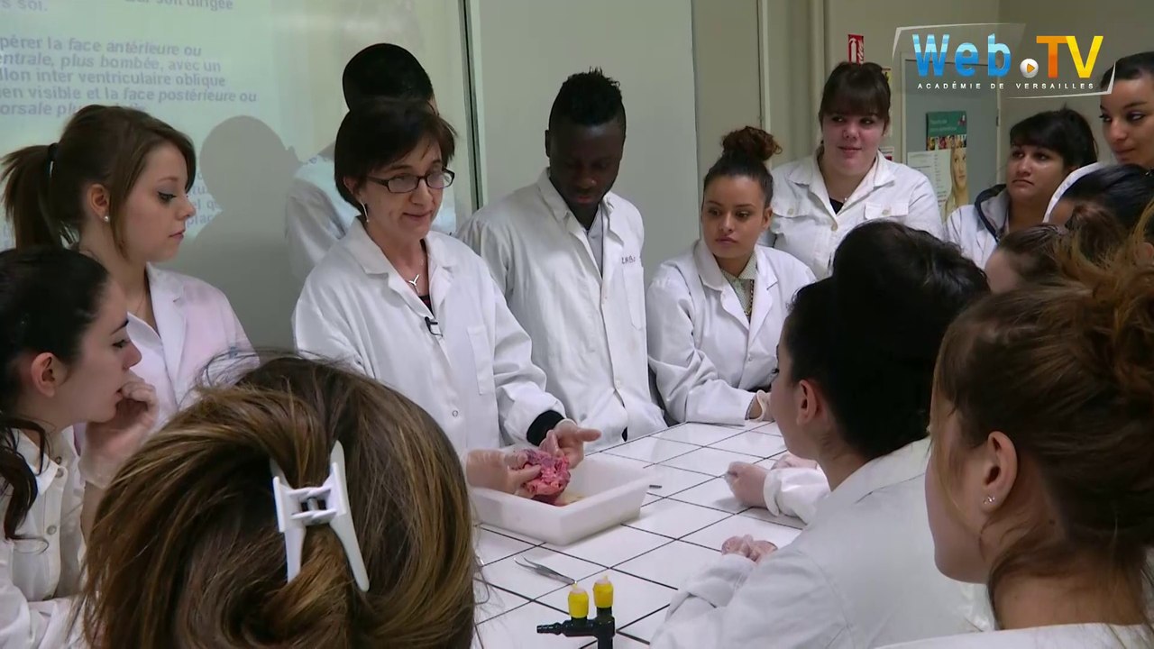 ST2S, une formation bivalente