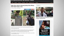 Egyptian Farmer Sentenced for Naming Donkey After Military Chief General