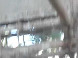 DANISH BREASING BEAM 2 APRIL 2014