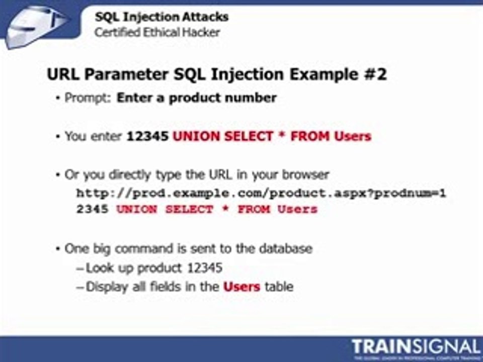 Ethical Hacking - Benefits of SQL Injection Attacks(240p_H.263-MP3)