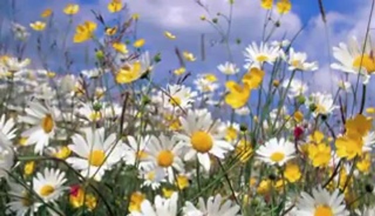 Ahmet Özhan - Bir Kadın Var Bu Şehirde -http://www.ilahidinle101.com/