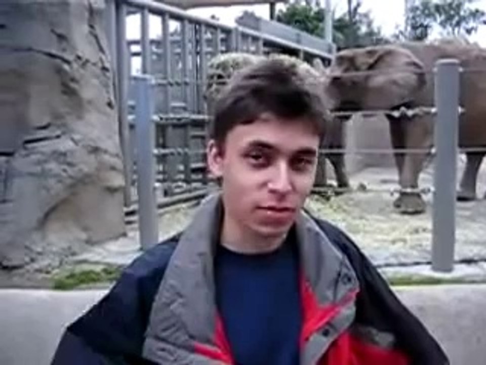 Primo video