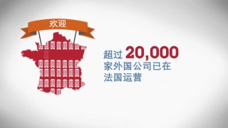 Chinese investments in France - Report 2013