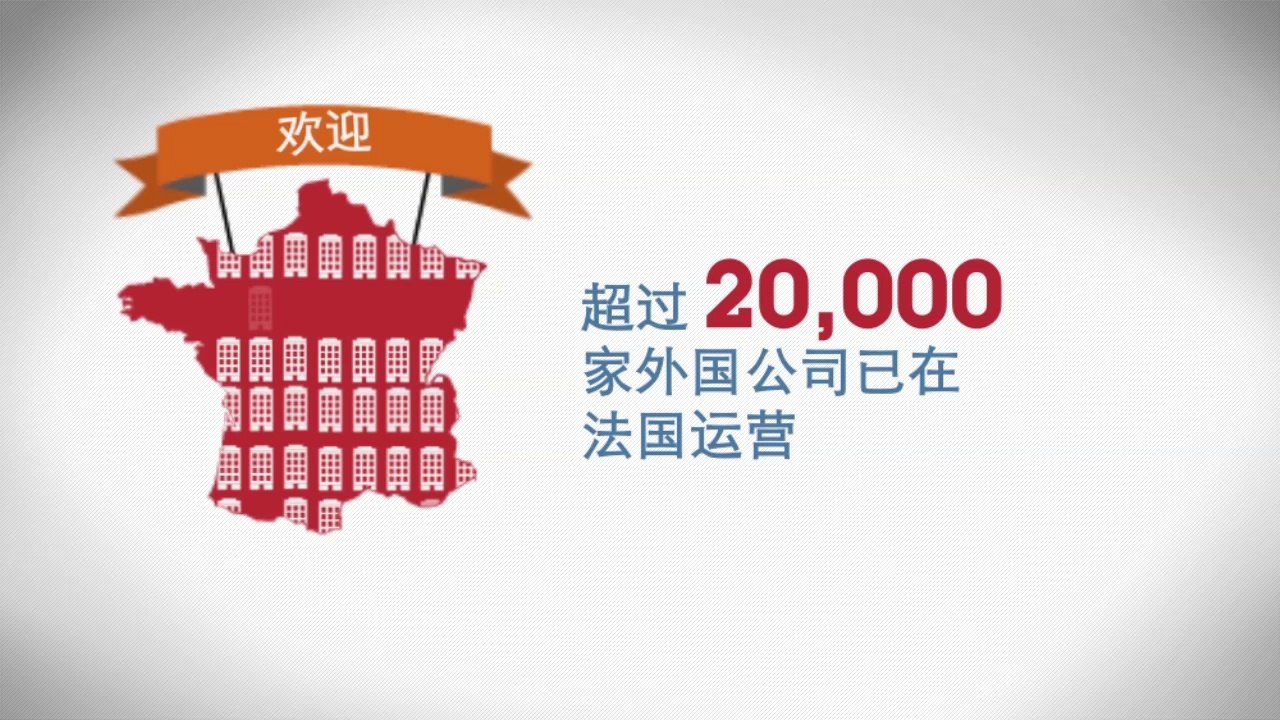 Chinese investments in France - Report 2013
