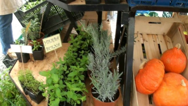 Global Humanitaria estrena el taller: Aprendiendo a comer bien