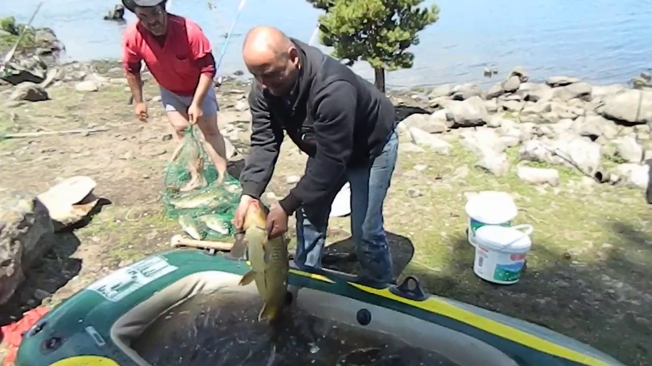 seben, bolu seben, bolu seben taşlıyayla,sazan avı ,balıkavı