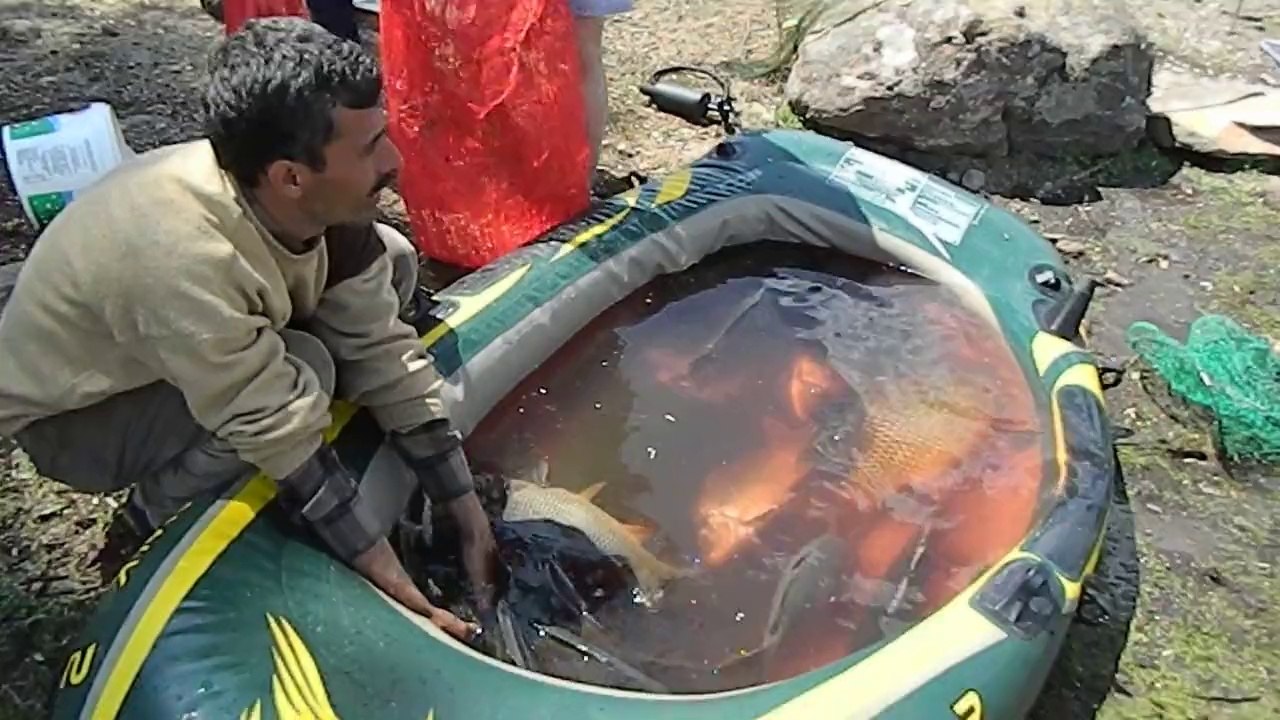 seben, bolu seben, bolu seben taşlıyayla,sazan avı ,balıkavı